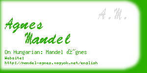 agnes mandel business card